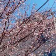 ヒメ日記 2025/03/01 11:22 投稿 しおり NEO不夜城