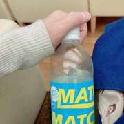 ヒメ日記 2025/03/05 19:42 投稿 しおり NEO不夜城