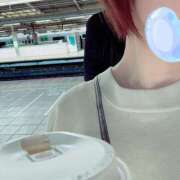 ヒメ日記 2025/04/09 08:22 投稿 しおり NEO不夜城