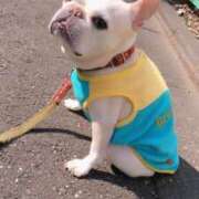 ヒメ日記 2025/08/08 06:49 投稿 しおり NEO不夜城