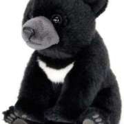 ヒメ日記 2025/12/13 10:09 投稿 しおり NEO不夜城