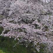 あや 厚木つきました 進撃の妻