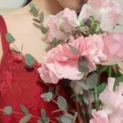 ヒメ日記 2025/03/31 21:05 投稿 寧々(ねね) 高崎回春性感SPA