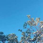 ヒメ日記 2025/04/29 18:57 投稿 寧々(ねね) 高崎回春性感SPA