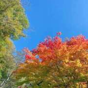 ヒメ日記 2025/11/06 23:41 投稿 寧々(ねね) 高崎回春性感SPA