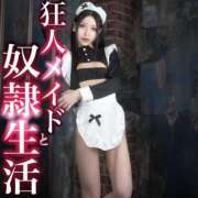 ヒメ日記 2025/03/09 11:53 投稿 鳳葵妃 Versailles