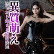 ヒメ日記 2025/03/09 23:35 投稿 鳳葵妃 Versailles