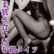 ヒメ日記 2025/03/14 01:53 投稿 鳳葵妃 Versailles