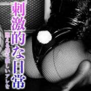 ヒメ日記 2025/03/19 14:29 投稿 鳳葵妃 Versailles