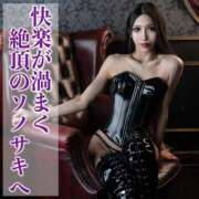 ヒメ日記 2025/03/25 11:11 投稿 鳳葵妃 Versailles