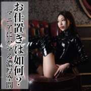 ヒメ日記 2025/04/03 23:22 投稿 鳳葵妃 Versailles