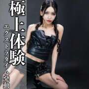 ヒメ日記 2025/04/08 13:39 投稿 鳳葵妃 Versailles