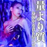 ヒメ日記 2025/04/25 11:39 投稿 鳳葵妃 Versailles