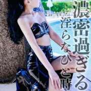 ヒメ日記 2025/05/21 11:41 投稿 鳳葵妃 Versailles