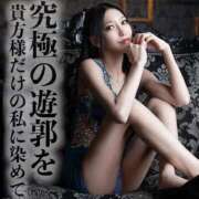 ヒメ日記 2025/06/14 01:21 投稿 鳳葵妃 Versailles