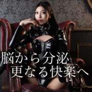 ヒメ日記 2025/10/13 16:51 投稿 鳳葵妃 Versailles