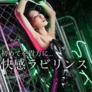 ヒメ日記 2025/10/25 22:21 投稿 鳳葵妃 Versailles