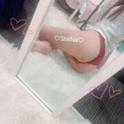 ヒメ日記 2025/12/12 22:08 投稿 椎奈-しいな【FG系列】 ほんとうの人妻 横浜本店