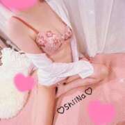 ヒメ日記 2026/03/06 23:13 投稿 椎奈-しいな【FG系列】 ほんとうの人妻 横浜本店