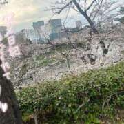 ヒメ日記 2025/04/02 17:05 投稿 杏奈-あんな【FG系列】 ほんとうの人妻 横浜本店