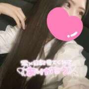 ヒメ日記 2025/04/20 16:46 投稿 杏奈-あんな【FG系列】 ほんとうの人妻 横浜本店