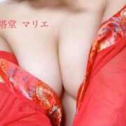 ヒメ日記 2025/02/01 02:00 投稿 塔堂 マリエ【FG系列】 ほんとうの人妻 横浜本店