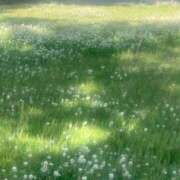 ヒメ日記 2025/10/31 17:56 投稿 かのと ラグジュアリースパ 札幌ガーデンクォーツ