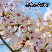 かのん ご予約様へ Mrs Sirena（ミセスシレナ）