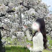 ★初代 ことね★ 🌸完売🌸 CLUB MUTEKI大阪本店