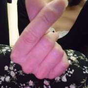 ヒメ日記 2025/01/23 16:45 投稿 さいか 熟女家 ミナミエリア店