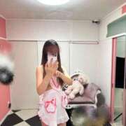 ヒメ日記 2025/03/15 15:39 投稿 くらら 美少女制服学園CLASSMATE　五反田校