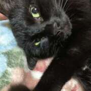 ヒメ日記 2025/05/14 12:10 投稿 絹代(きぬよ) 人妻最後の砦 小山店