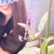 ヒメ日記 2025/06/28 11:20 投稿 絹代(きぬよ) 人妻最後の砦 小山店