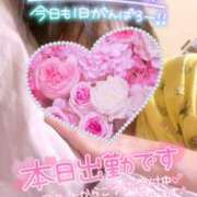 ヒメ日記 2025/07/11 08:38 投稿 絹代(きぬよ) 人妻最後の砦 小山店