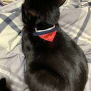 ヒメ日記 2025/07/18 22:40 投稿 絹代(きぬよ) 人妻最後の砦 小山店