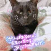 ヒメ日記 2025/08/08 23:29 投稿 絹代(きぬよ) 人妻最後の砦 小山店