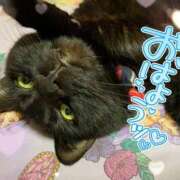 ヒメ日記 2025/08/10 07:33 投稿 絹代(きぬよ) 人妻最後の砦 小山店