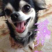 ヒメ日記 2025/08/11 17:38 投稿 絹代(きぬよ) 人妻最後の砦 小山店