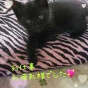 ヒメ日記 2025/08/22 17:45 投稿 絹代(きぬよ) 人妻最後の砦 小山店