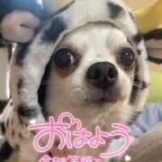 ヒメ日記 2025/08/29 07:30 投稿 絹代(きぬよ) 人妻最後の砦 小山店