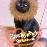 ヒメ日記 2025/08/31 07:40 投稿 絹代(きぬよ) 人妻最後の砦 小山店