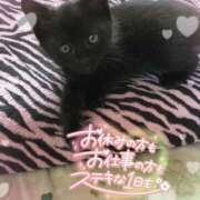 ヒメ日記 2025/09/05 07:40 投稿 絹代(きぬよ) 人妻最後の砦 小山店