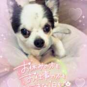 ヒメ日記 2025/09/13 09:16 投稿 絹代(きぬよ) 人妻最後の砦 小山店