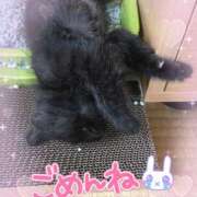 ヒメ日記 2025/10/23 18:34 投稿 絹代(きぬよ) 人妻最後の砦 小山店