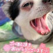 ヒメ日記 2025/10/30 20:39 投稿 絹代(きぬよ) 人妻最後の砦 小山店