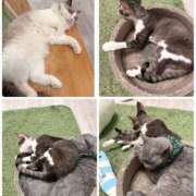 ヒメ日記 2025/12/11 12:20 投稿 絹代(きぬよ) 人妻最後の砦 小山店