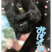 ヒメ日記 2026/01/28 06:43 投稿 絹代(きぬよ) 人妻最後の砦 小山店