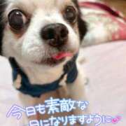 ヒメ日記 2026/02/20 09:25 投稿 絹代(きぬよ) 人妻最後の砦 小山店