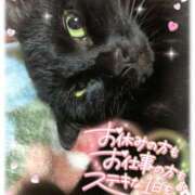 ヒメ日記 2026/02/25 09:01 投稿 絹代(きぬよ) 人妻最後の砦 小山店