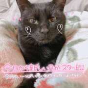 絹代(きぬよ) おはよー💖 人妻最後の砦 小山店